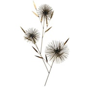 Mid-Century Curtis Jere Dandelion Wall Sculpture